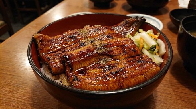 Unagi Kabayaki