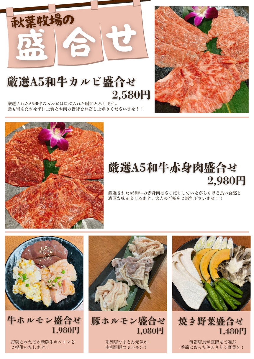 Yakiniku Sakaba Akihaba Bokujo menu 2