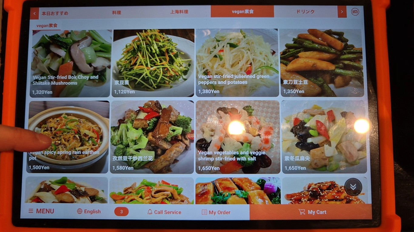 Sairaien menu 4