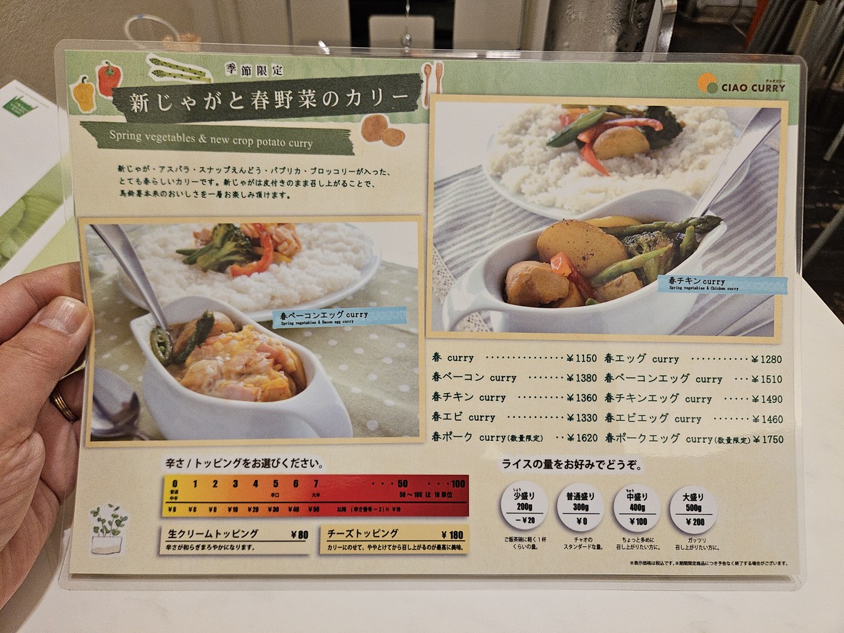 Ciao Curry menu 2
