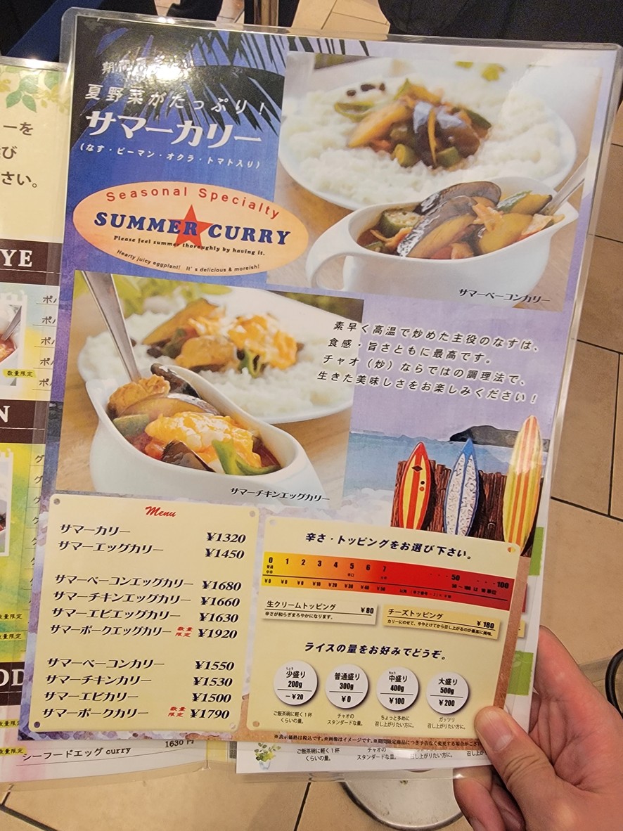 Ciao Curry menu 3