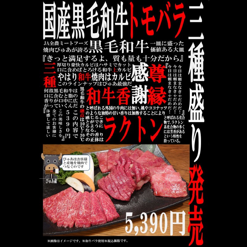 Wagyu Yakiniku Restaurant Pyua Sinagawa menu 5