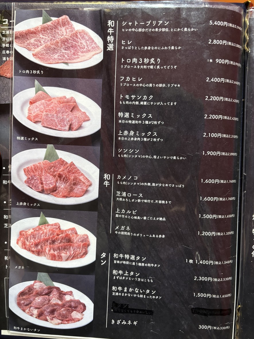 Shibaura menu 3