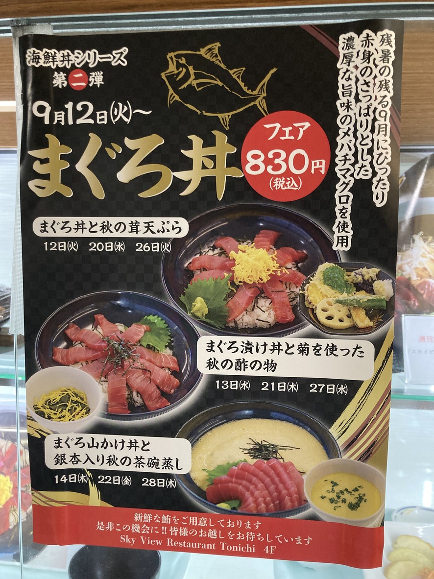 Sky View Restaurant Tonichi menu 1
