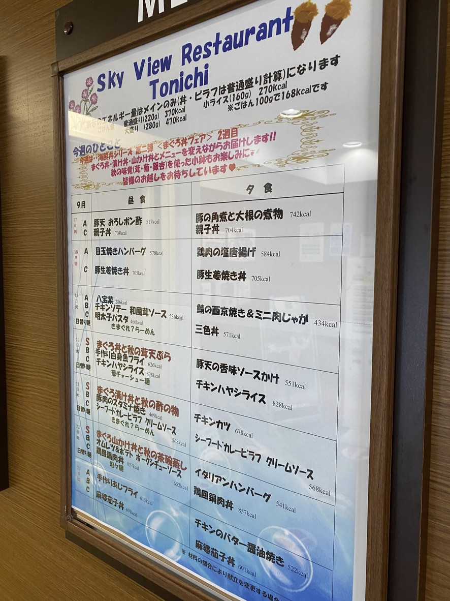 Sky View Restaurant Tonichi menu 3