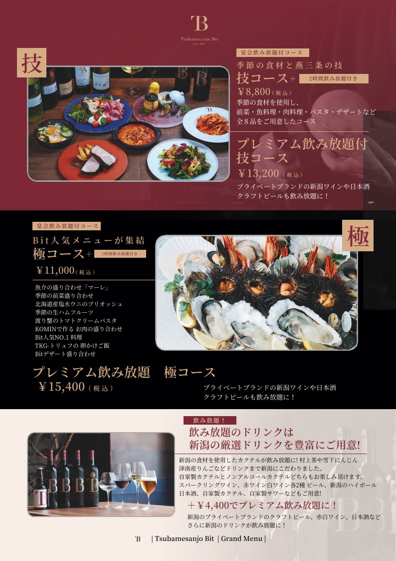 THE NIIGATA Bit GINZA menu 4
