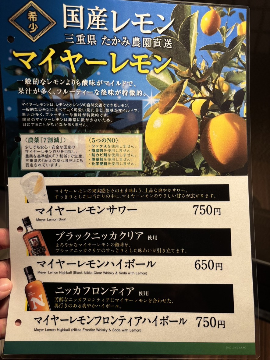 Wagyu yakiniku Tokori Oimachi menu 5