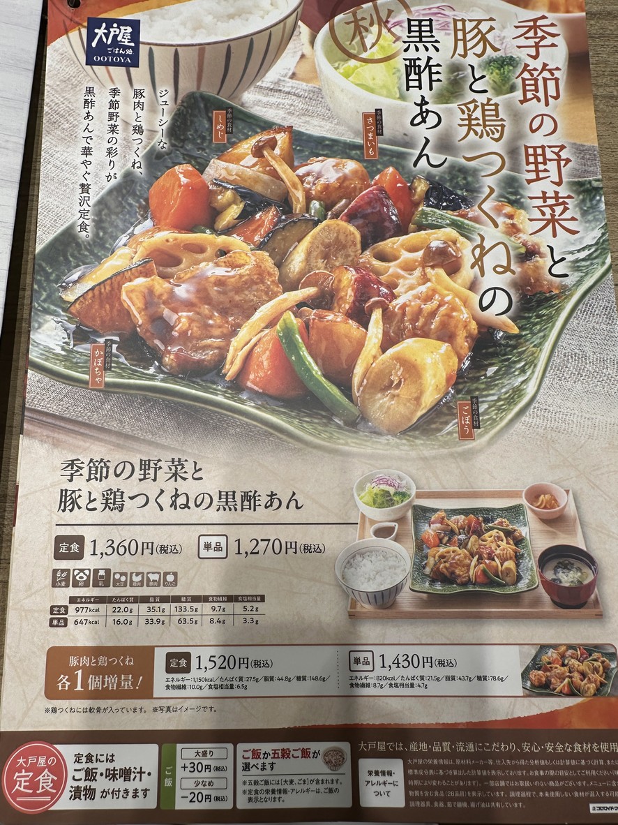 Ootoya menu 2