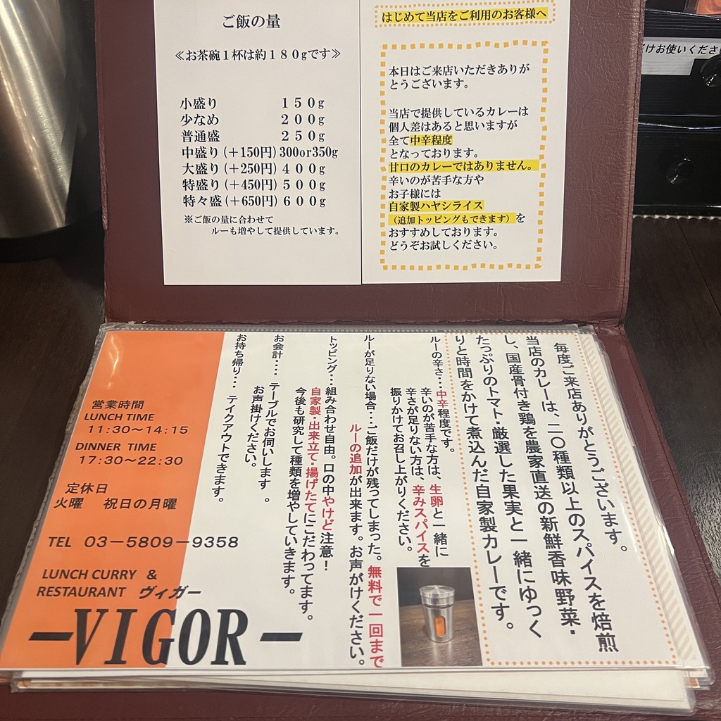 VIGOR menu 1
