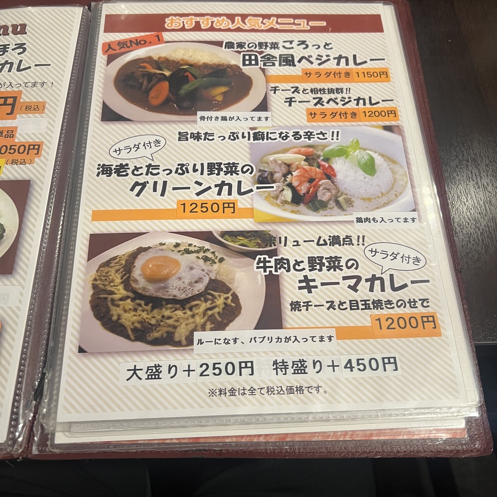 VIGOR menu 2