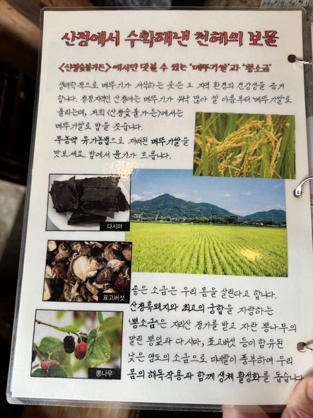 Sancheong Charcoal Garden Sucursal Euljiro 2