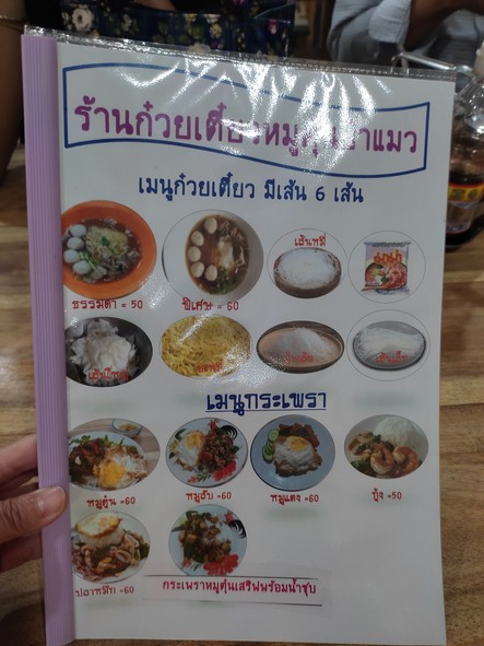 Paa Maew Braised Pork Noodles