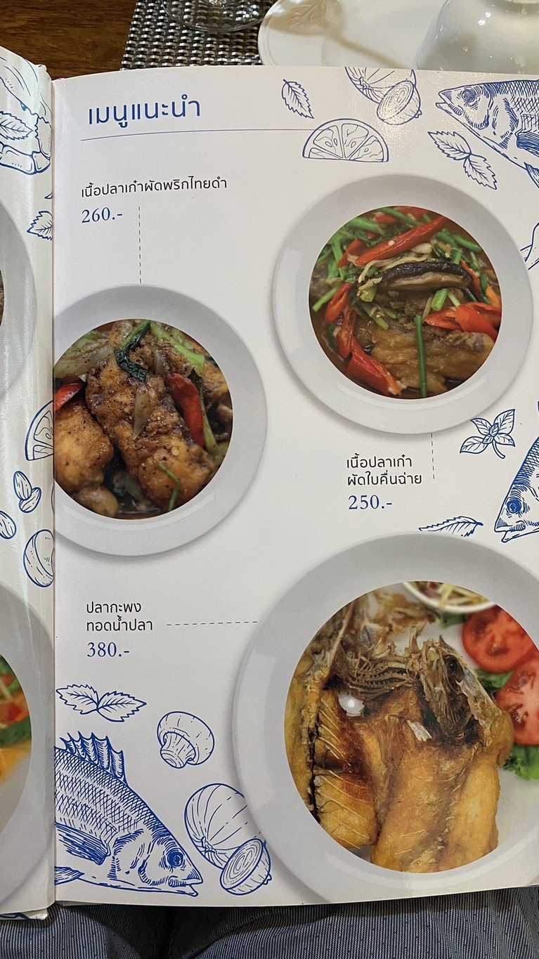 ศ.สุพรชัย77 (เสรีไทย) menu 5