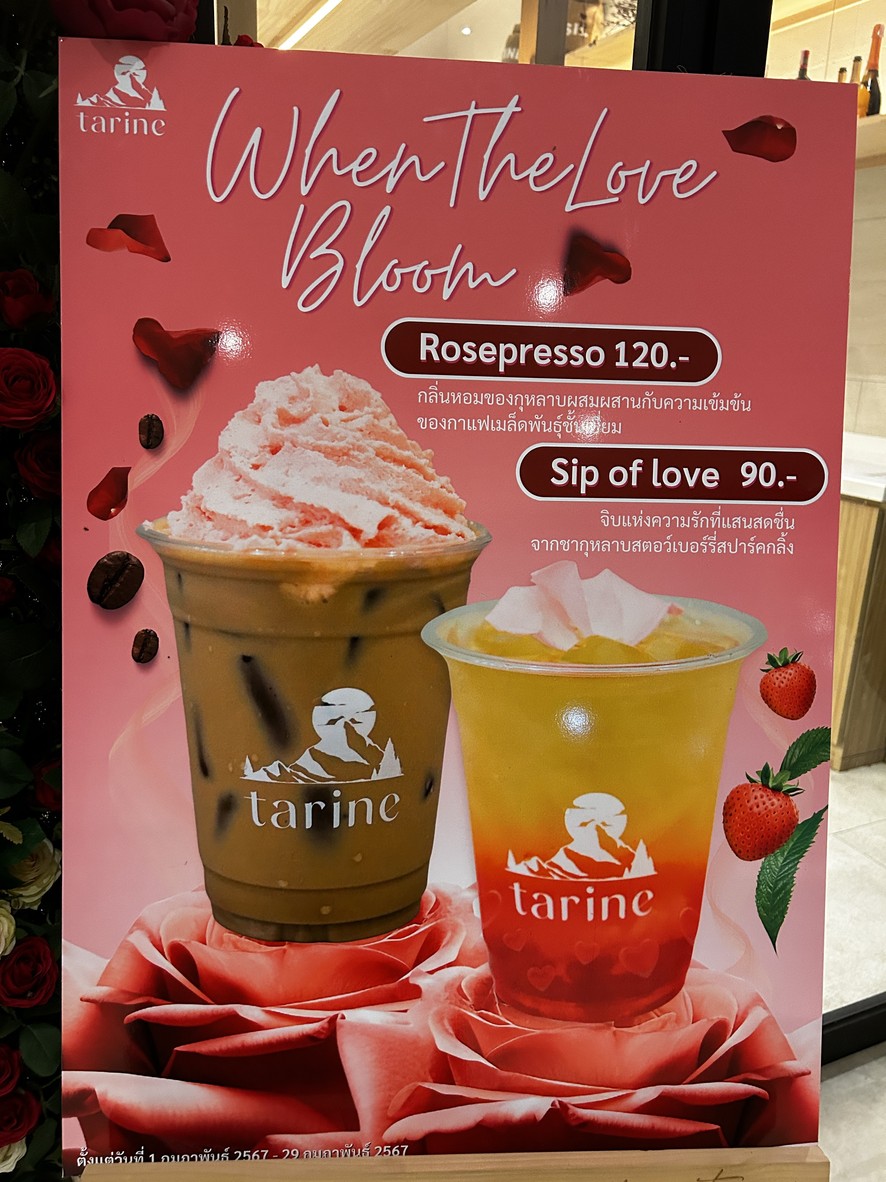 Tarine menu 7