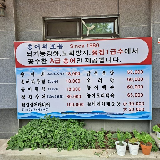 이대맛태