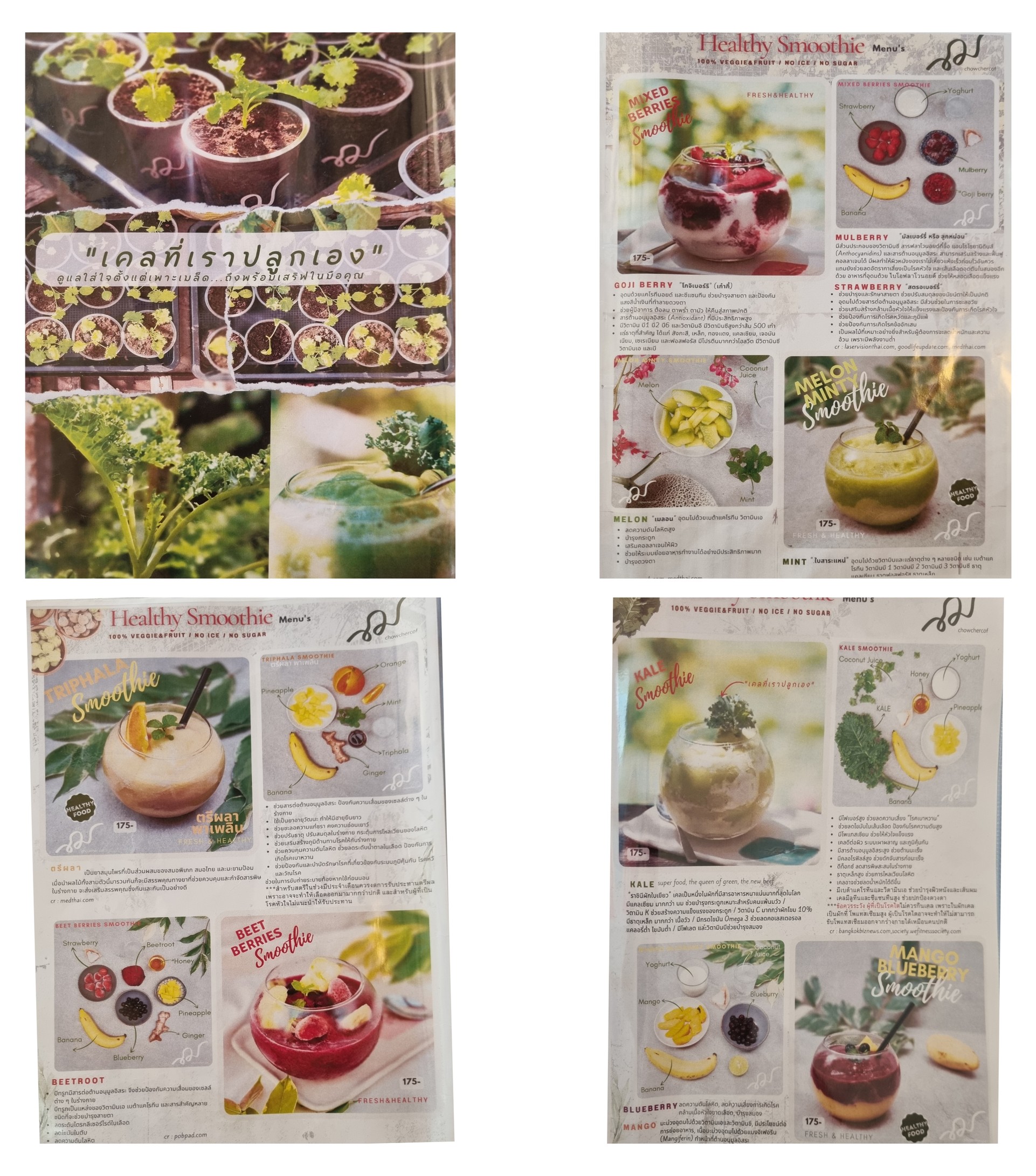 Menu image 3