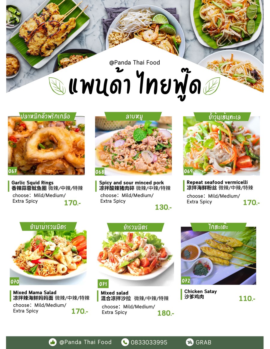 Panda Thai Food & Vegetarian menu 1