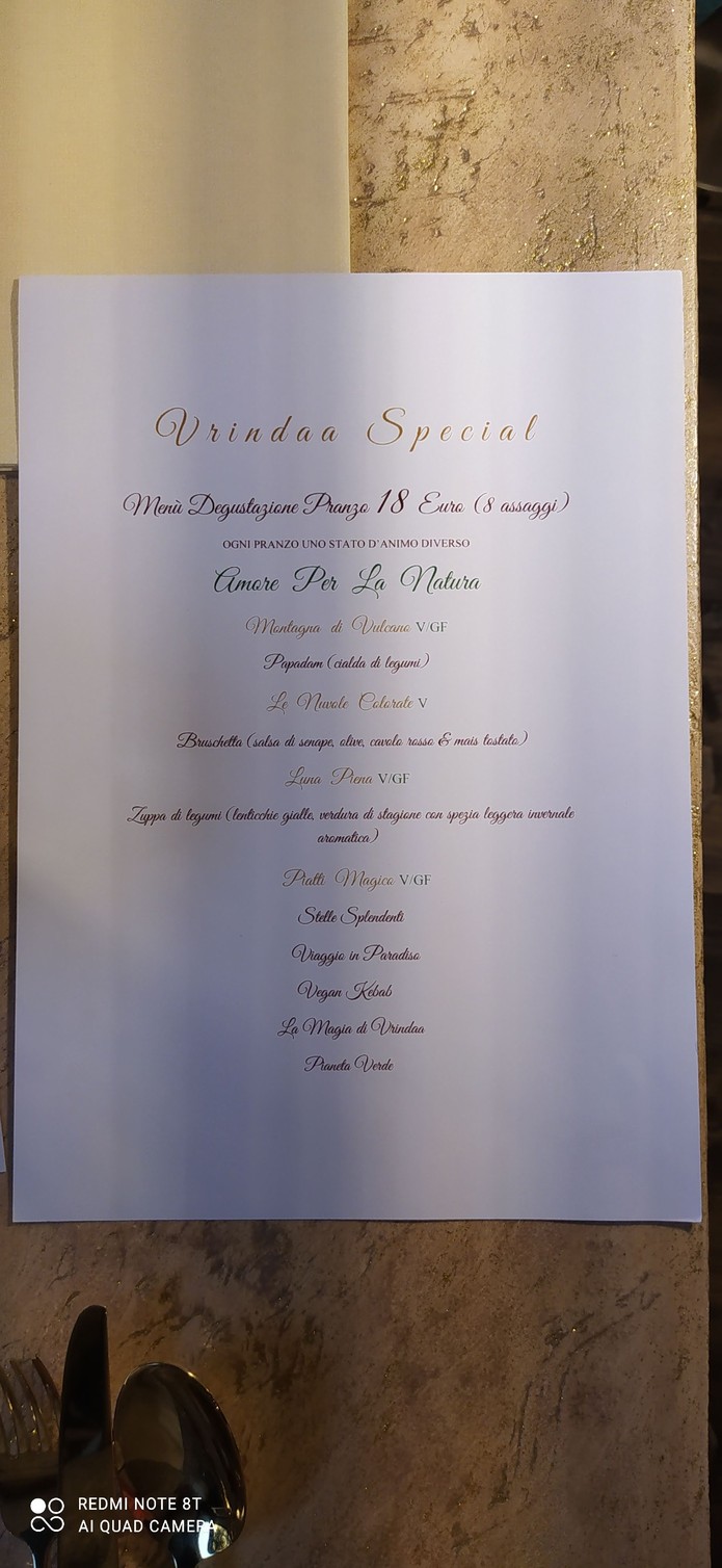 Vrindaa menu 4