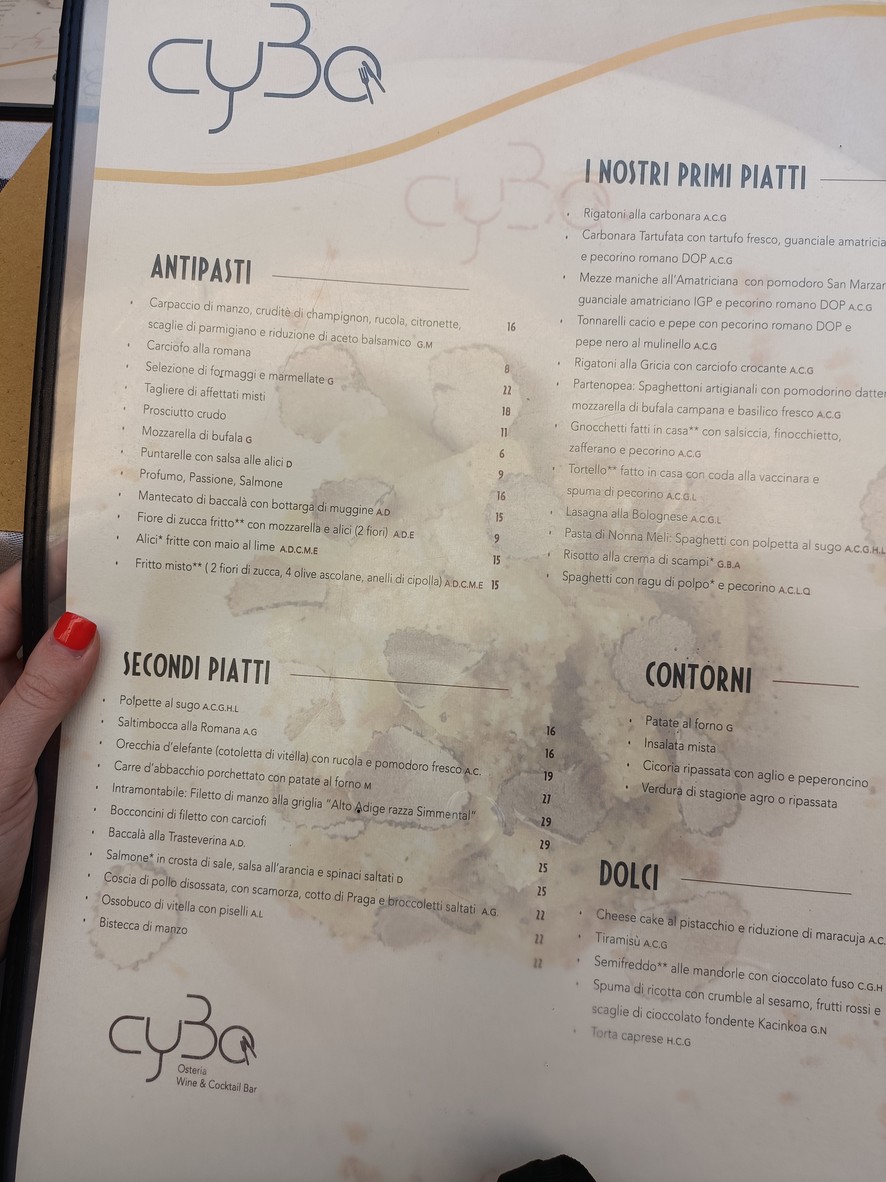 cybo menu 1